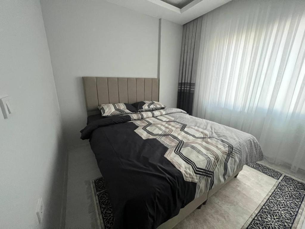 Czg * Alanya